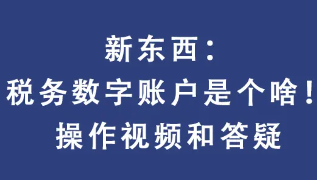 什么是電子發(fā)票服務(wù)平臺稅務(wù)數(shù)字賬戶？